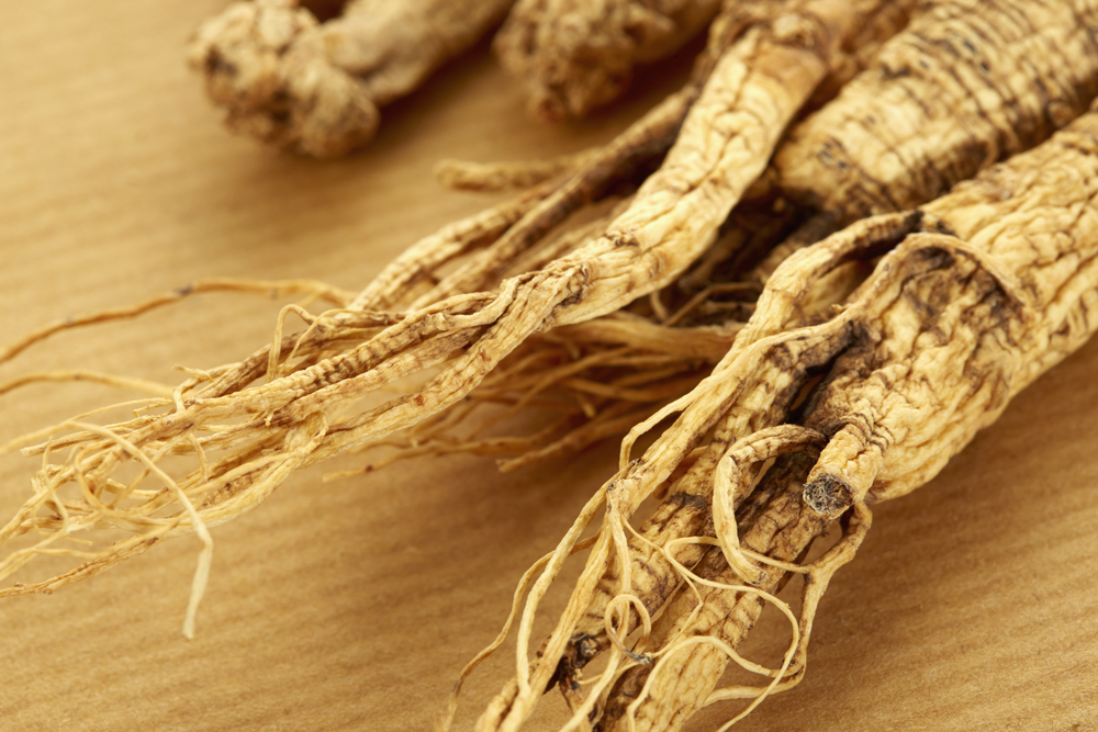 Root of Panax Ginseng