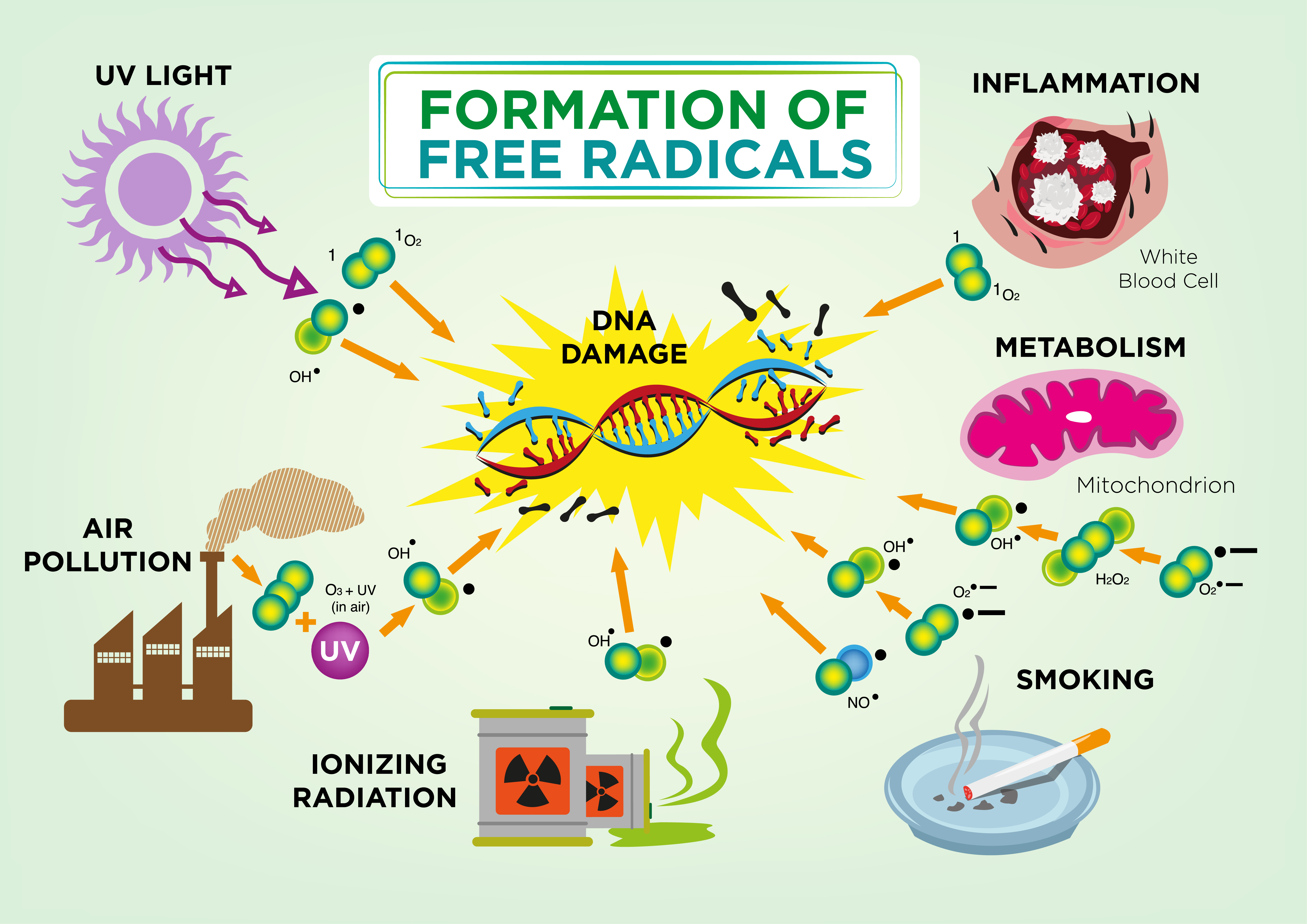 How free radcials are created?