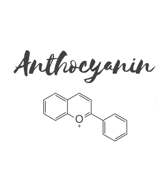 Anthocyanin chemical structure