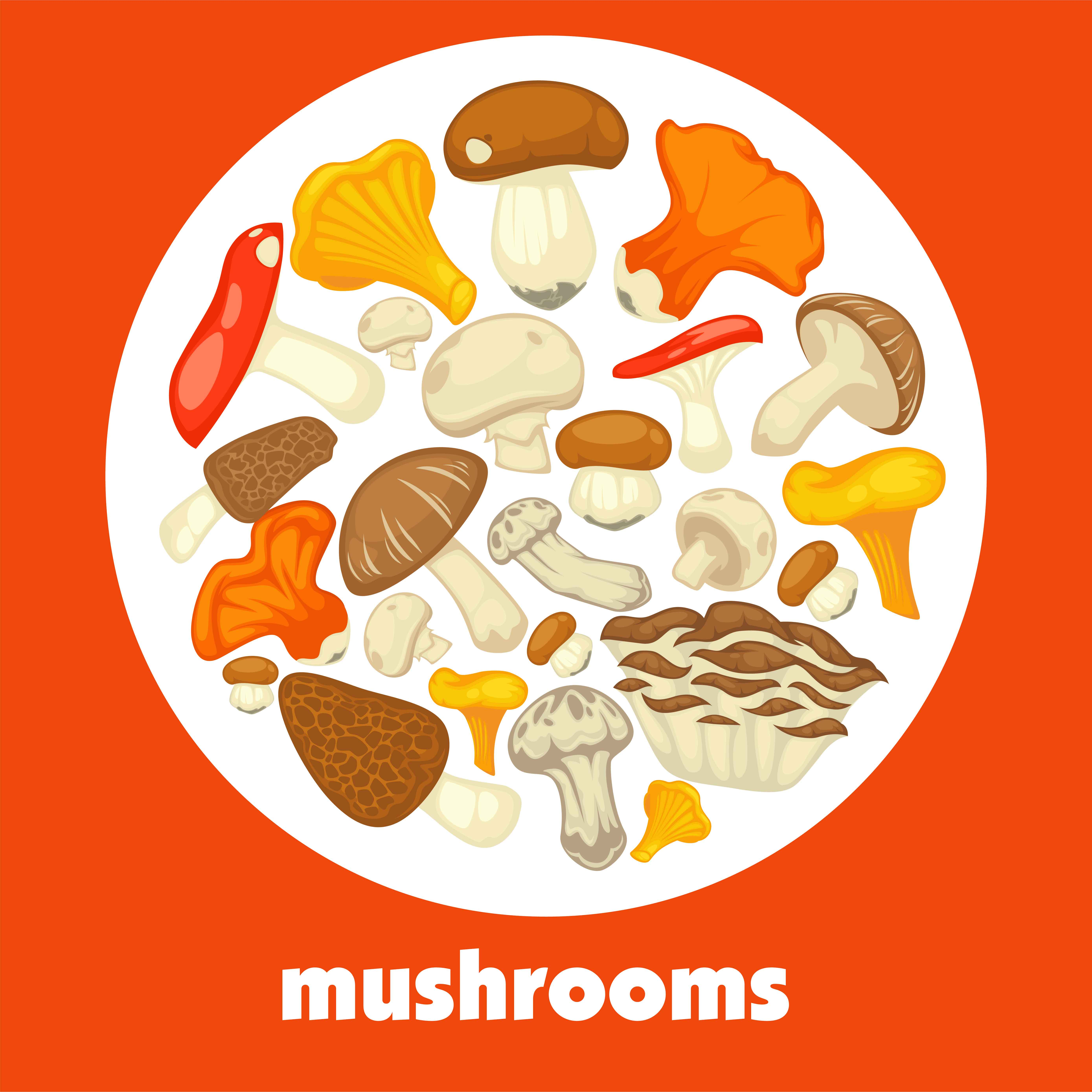 And are you eating mushrooms? Which are your favourite ones?