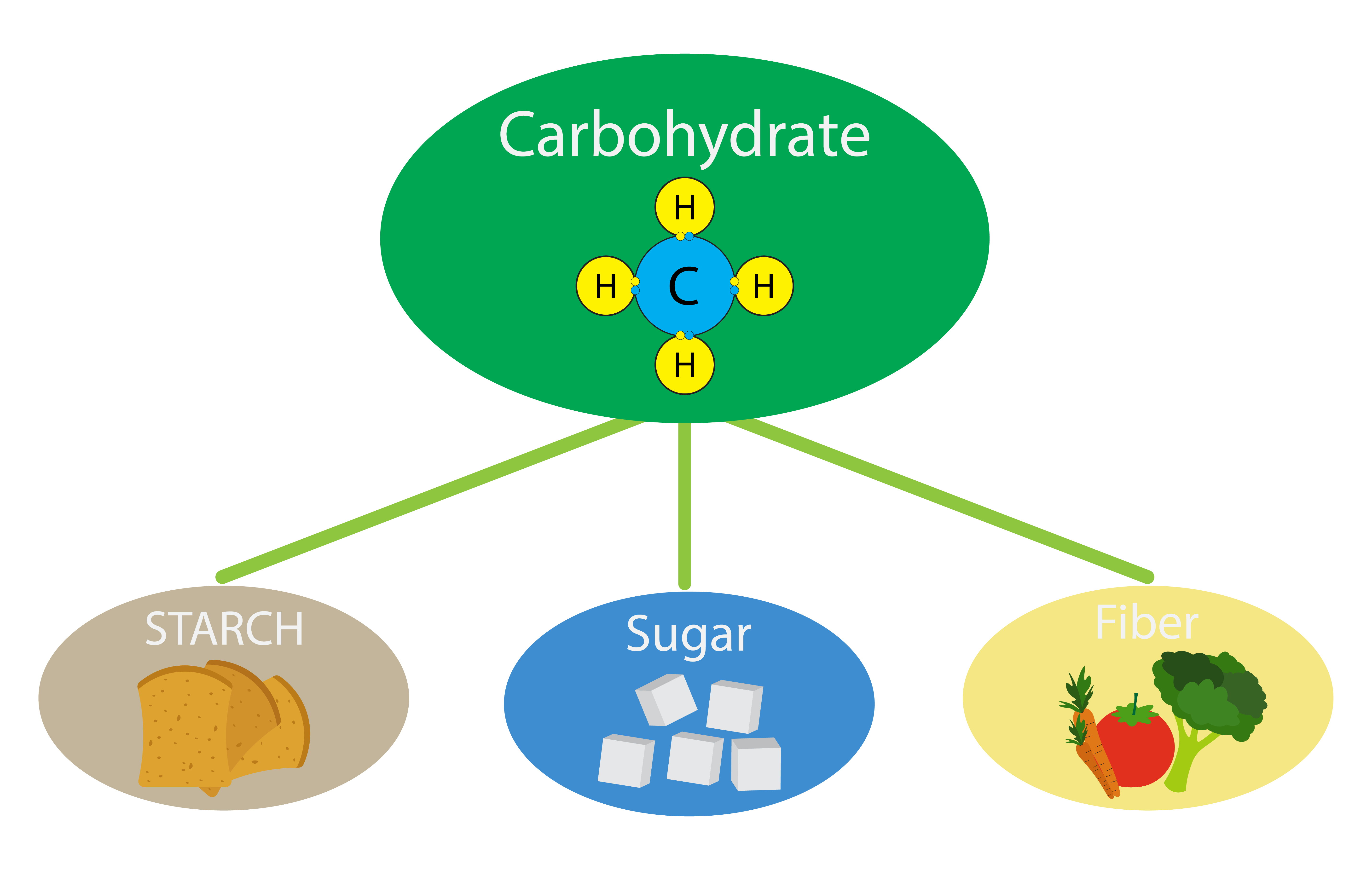 Three most common types of carbohydrates - dietary fibre, sugar and starch!