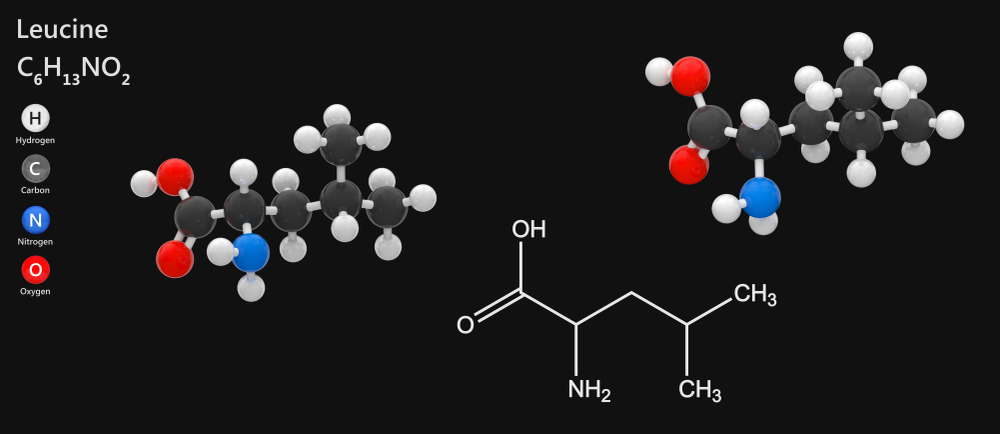 Chemical structure of leucine