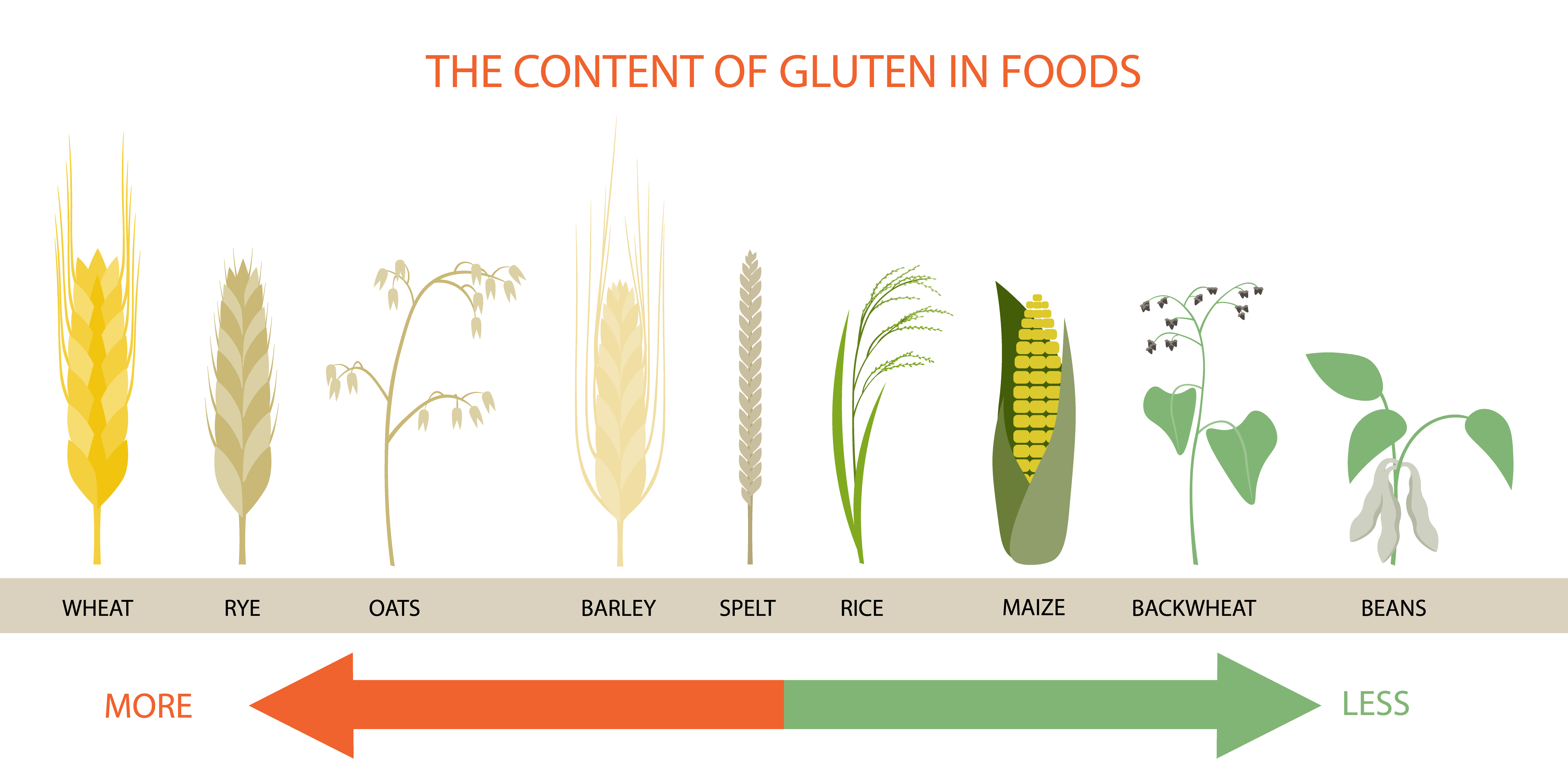 Where we can find gluten naturally?