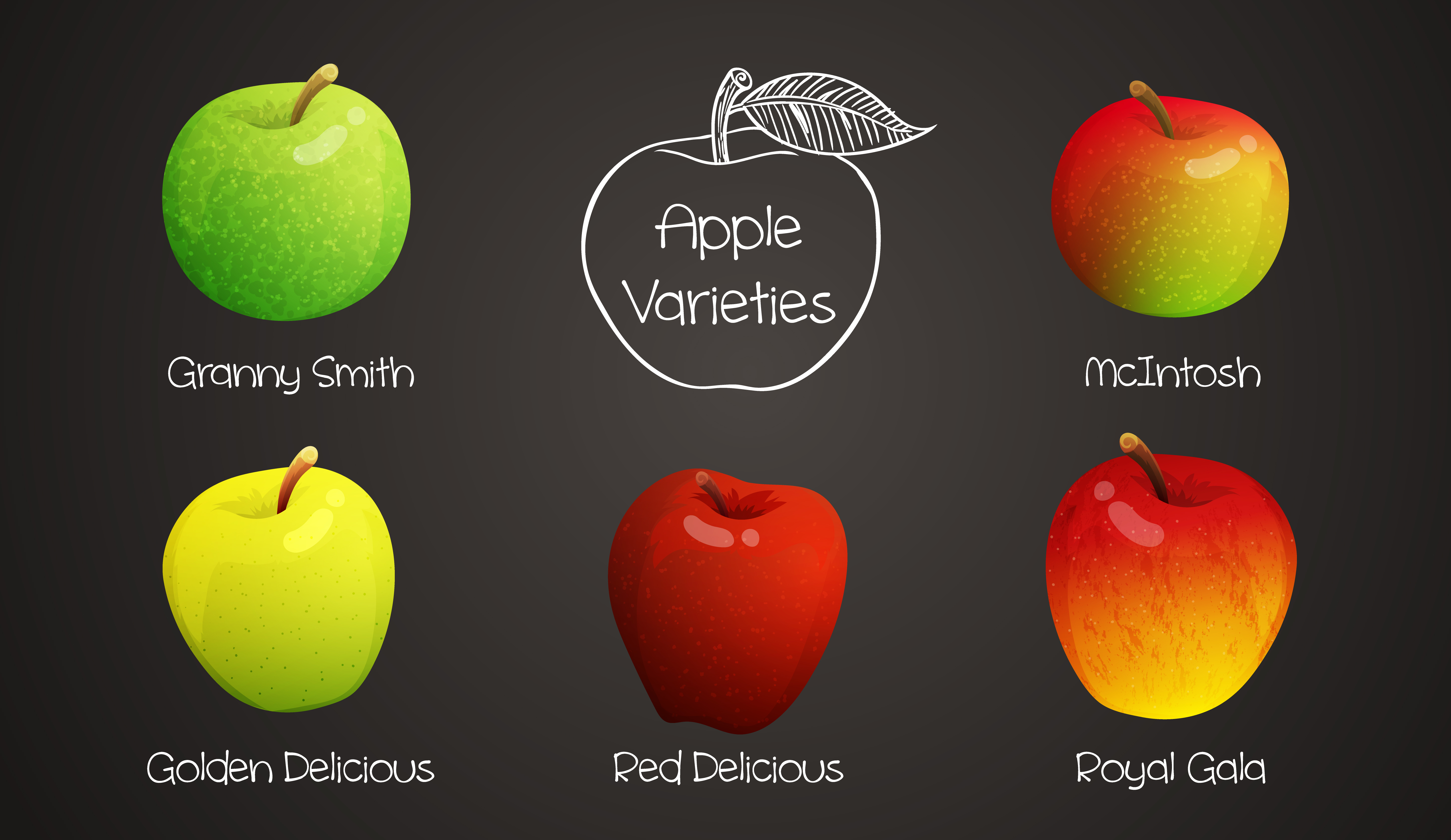 What is your favourite type of apple?