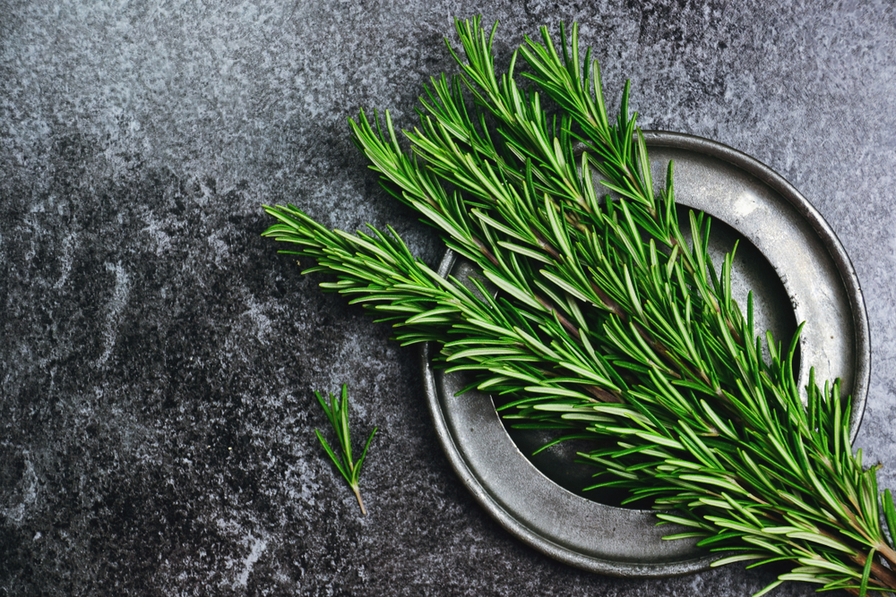 Rosemary will be great addition to more greasy dishes because its improve digestion