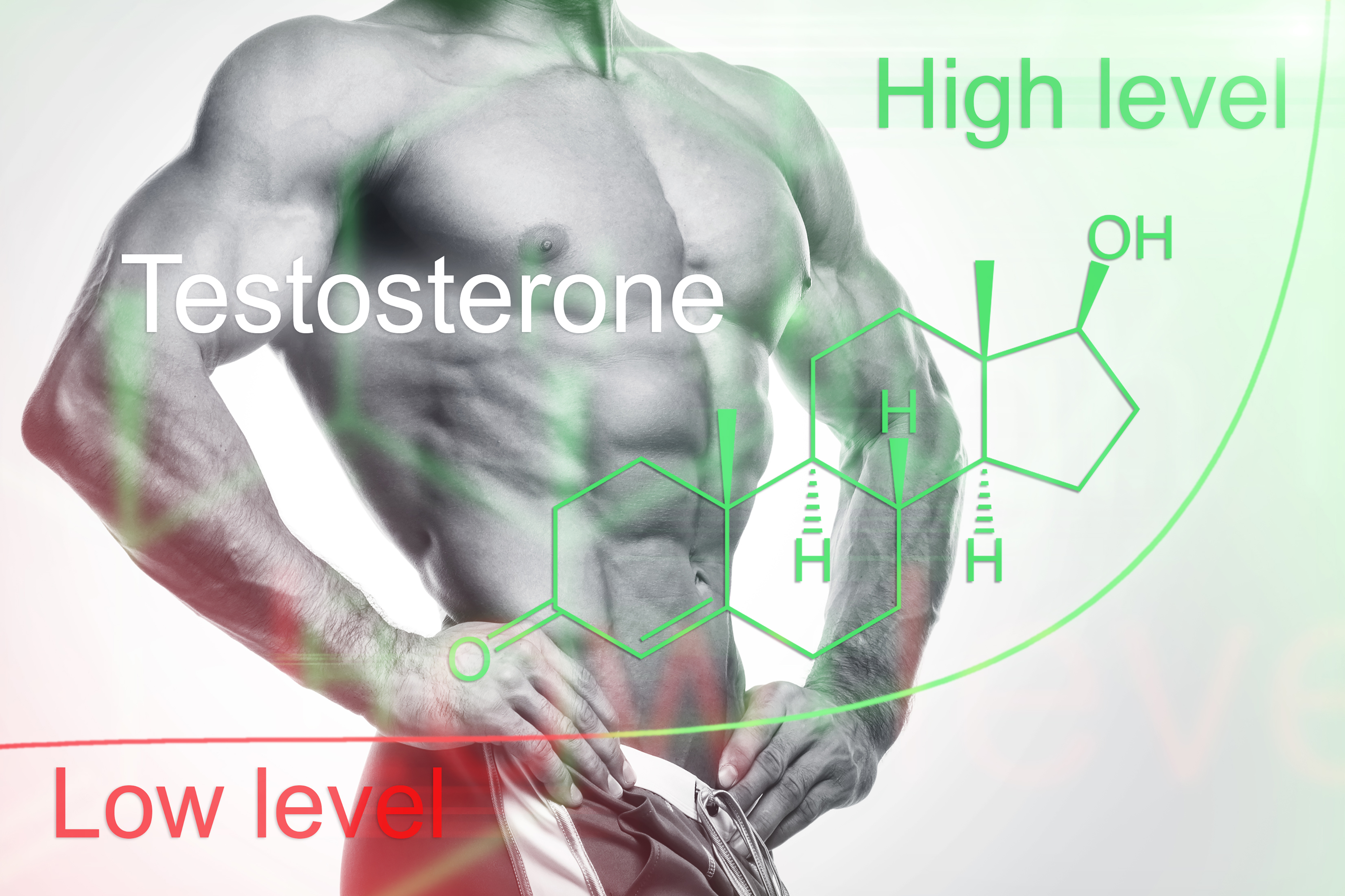 Testosterone is your muscles best friend!