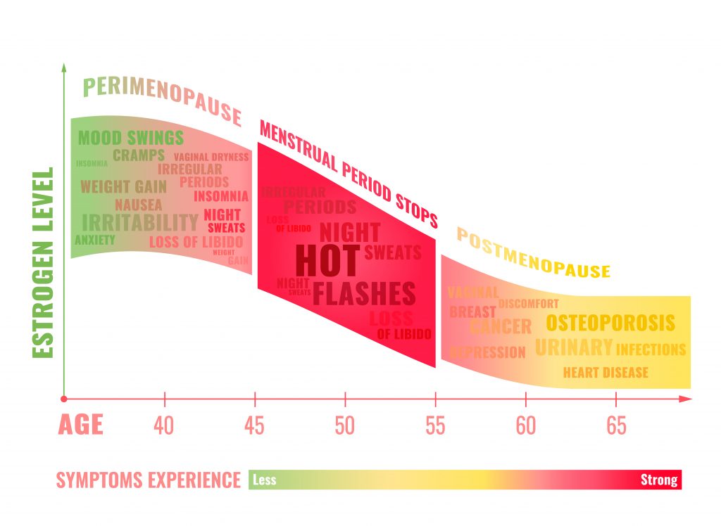 Stages of menopause