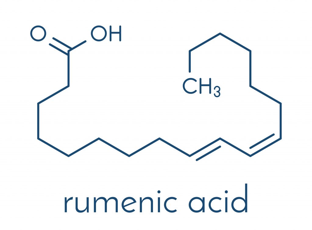 Chemical structure of CLA (called also rumenic acid)