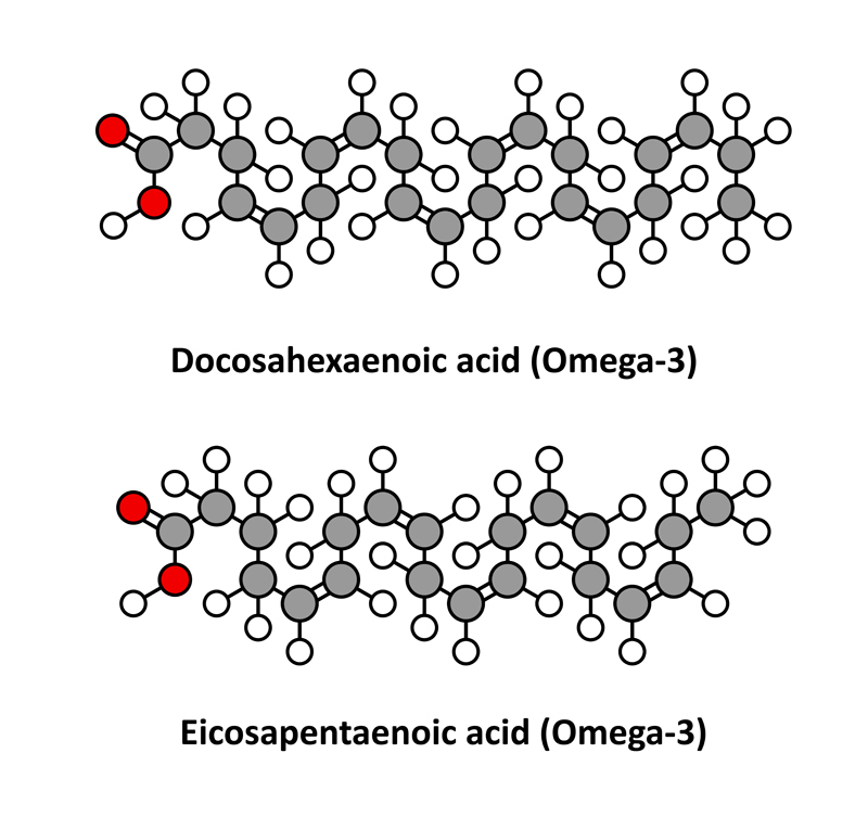 EPA and DHA - the basic Omega 3 fatty acids found in fishes