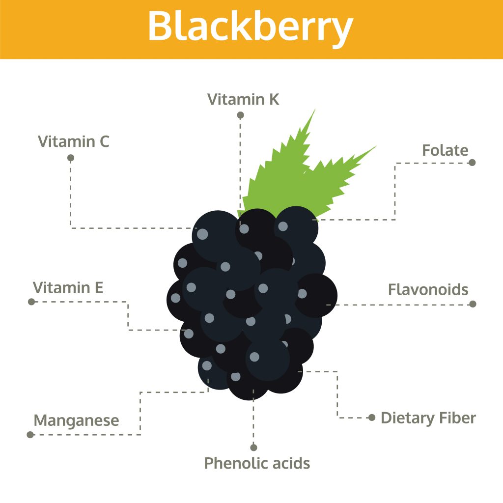 What do blackberries contain?