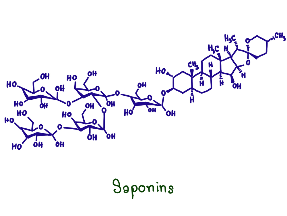 Chemical structure of saponins