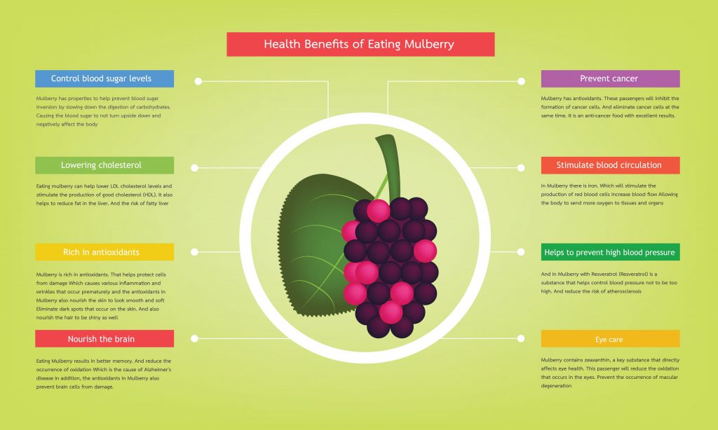 Benefits of mulberry fruits
