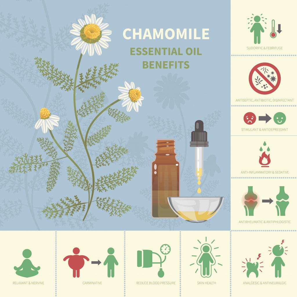 Most important benefits of chamomile