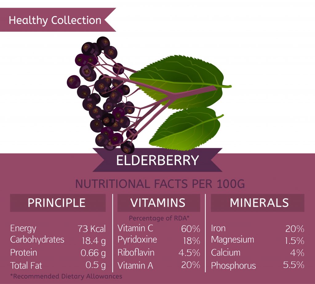 Nutritrional facts about Elderberry