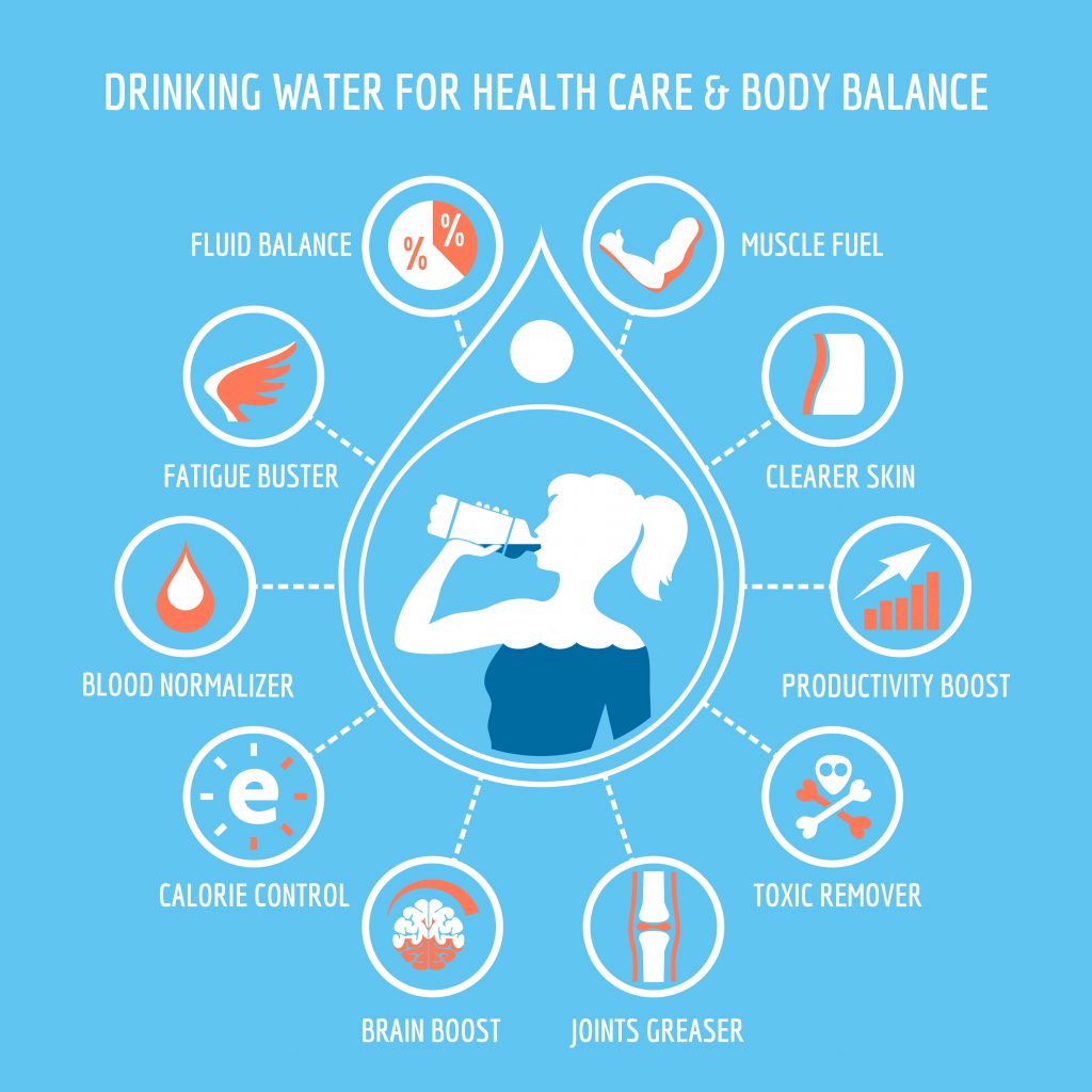 Functions of water inside our body