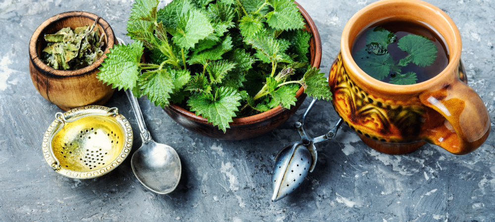 Nettle can be a great base for tea