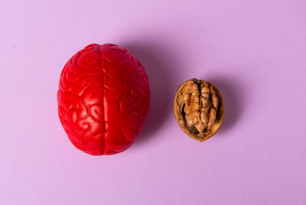 It's not a suprise that walnuts resemble brain!