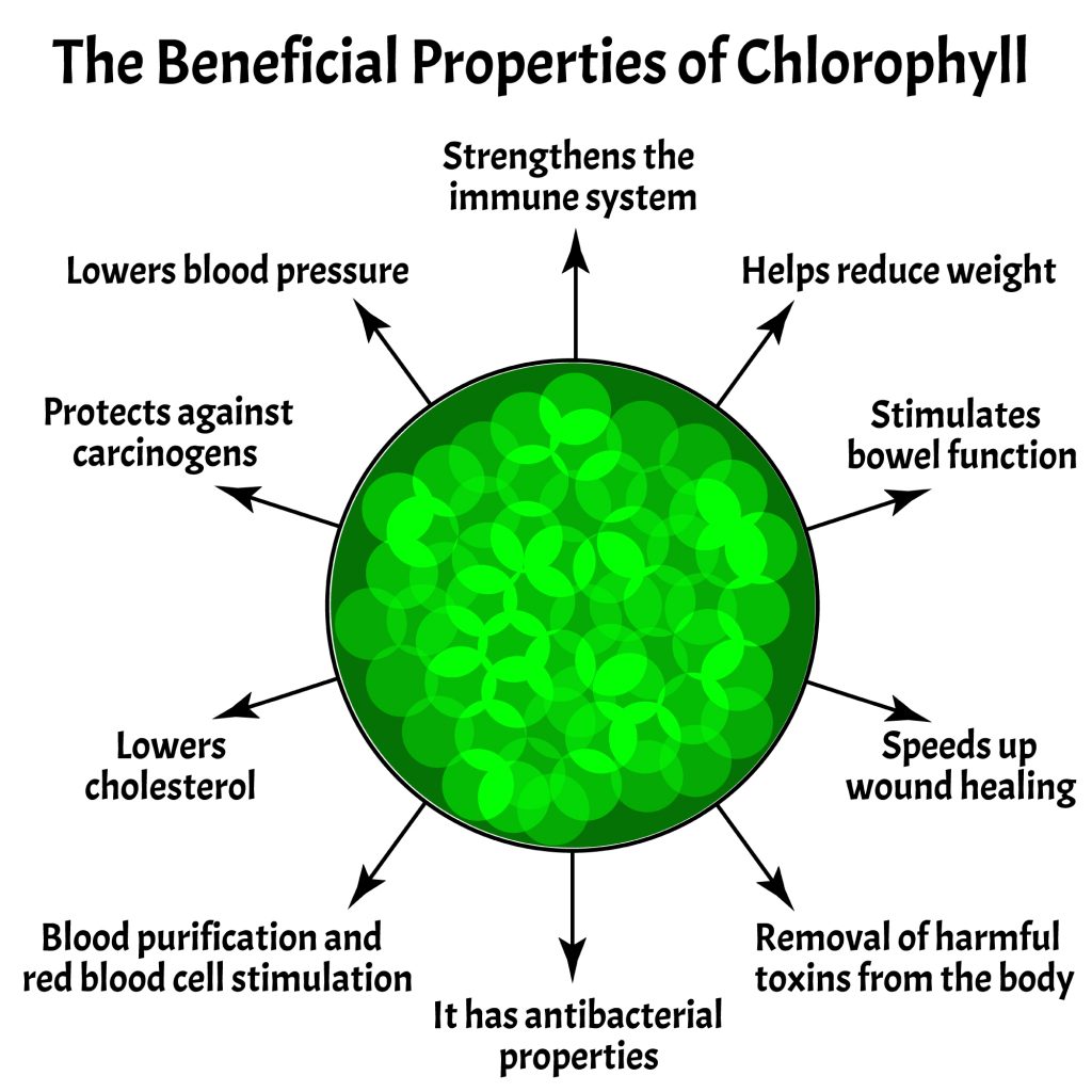 Benefits of chlorophyll