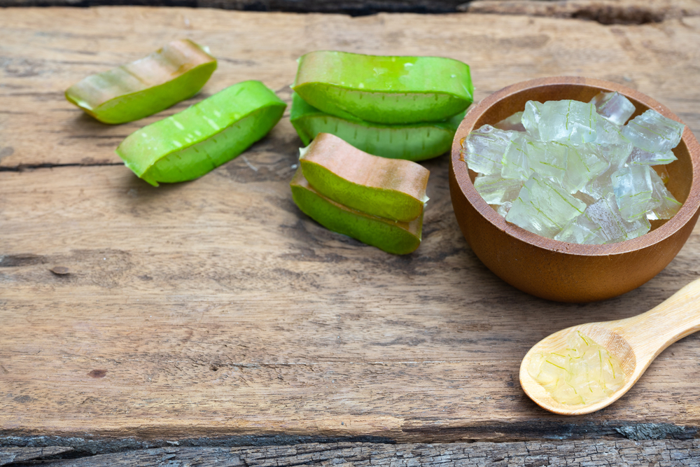 Fresh Aloe vera stem