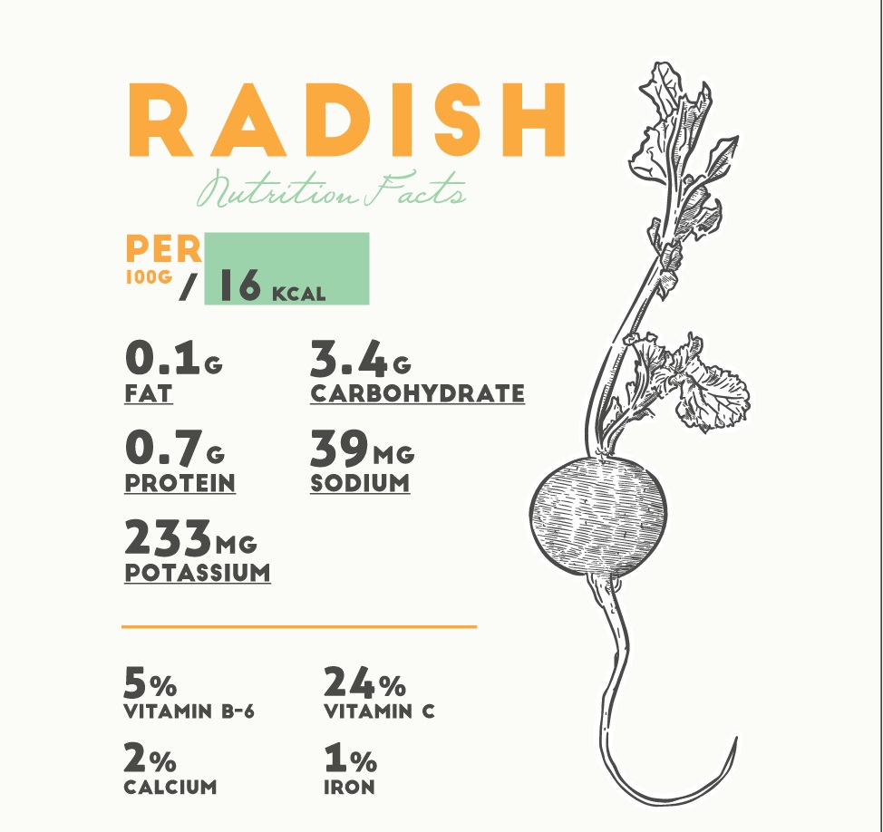 Composition of radishes