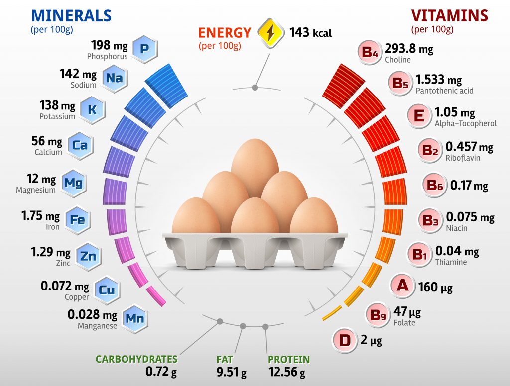 Composition of eggs