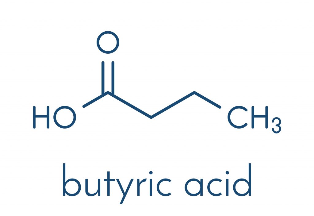 Chemical Structure of Butyric Acid