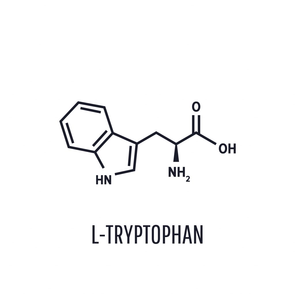 Chemical structure of tryptophan