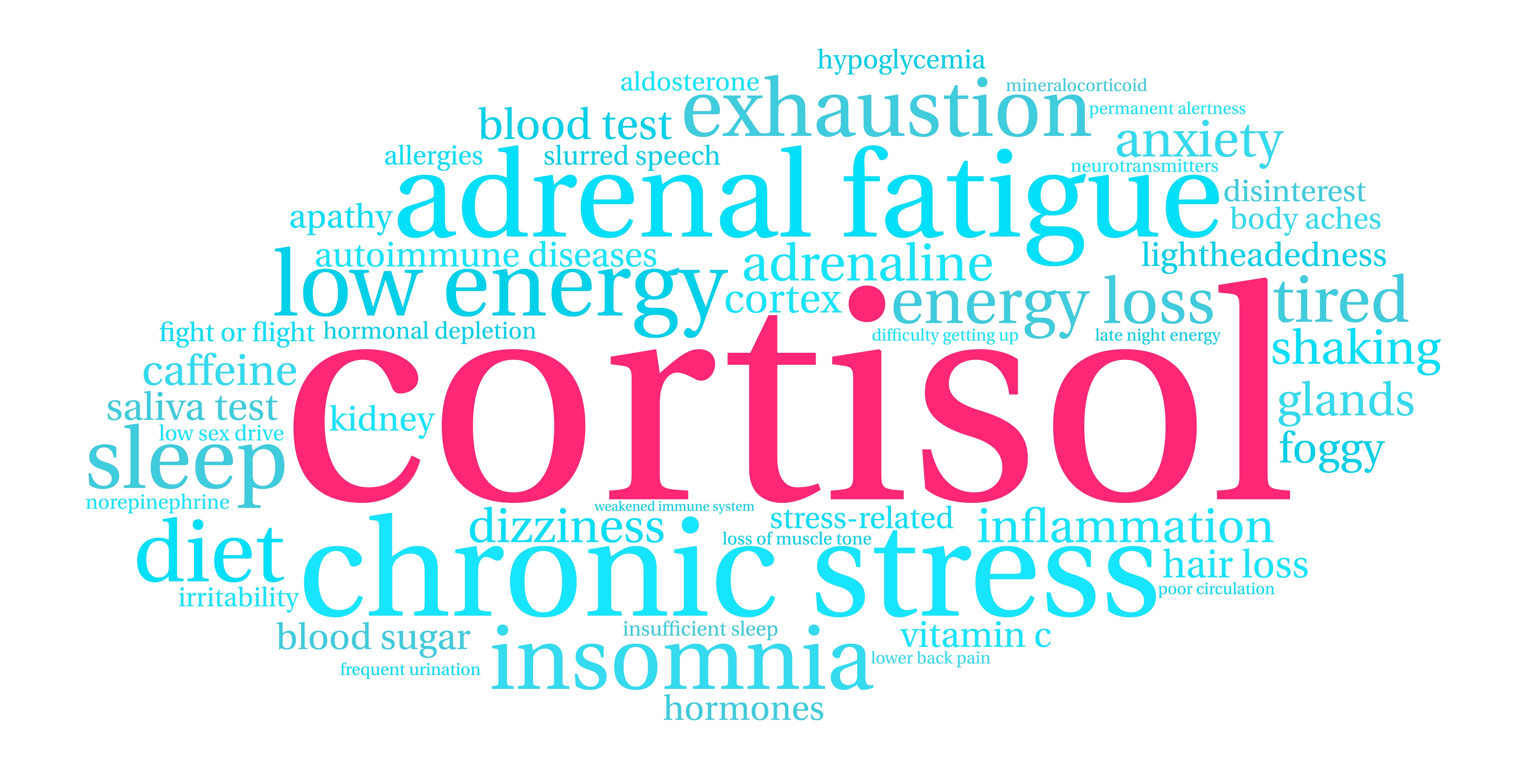Cortisol In Stress Response cortisol-in-stress-response