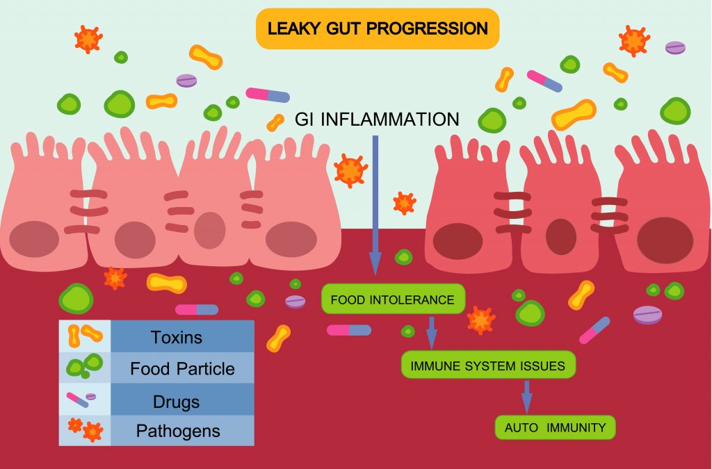 Development of leaky guts condition