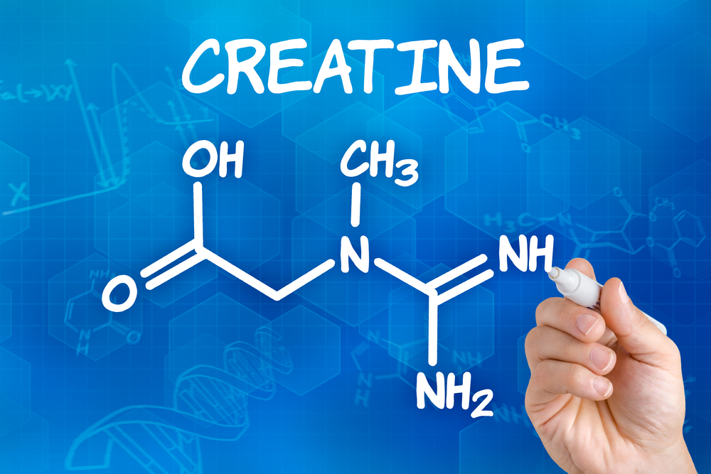 Chemical structure of creatine