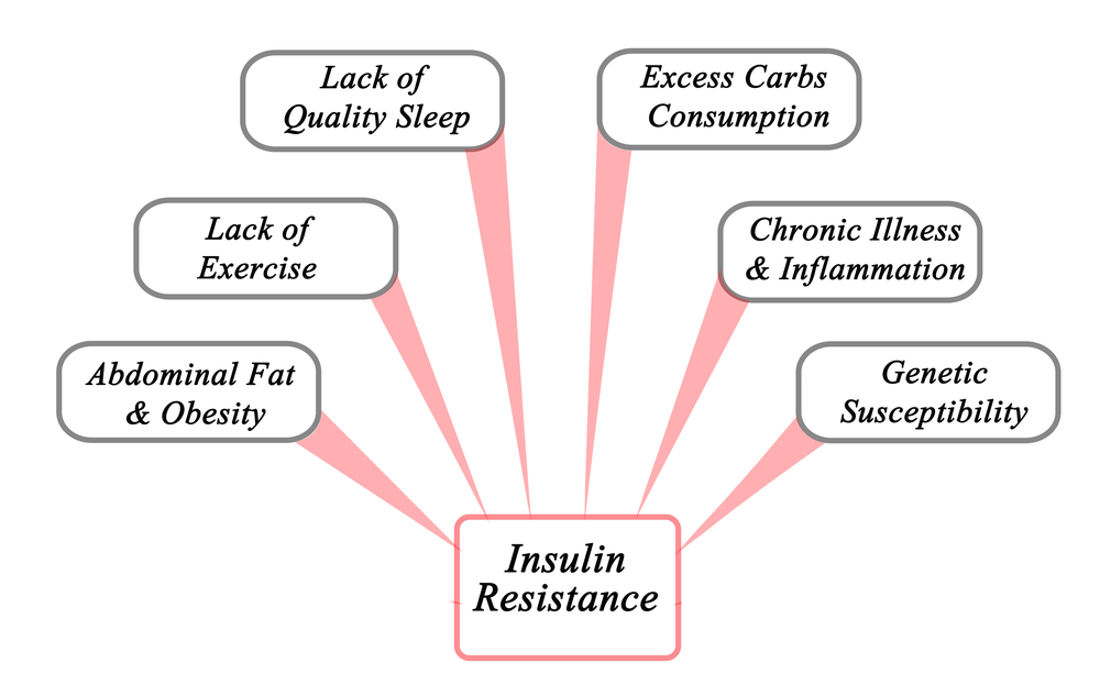 Causes of Insulin Resistance