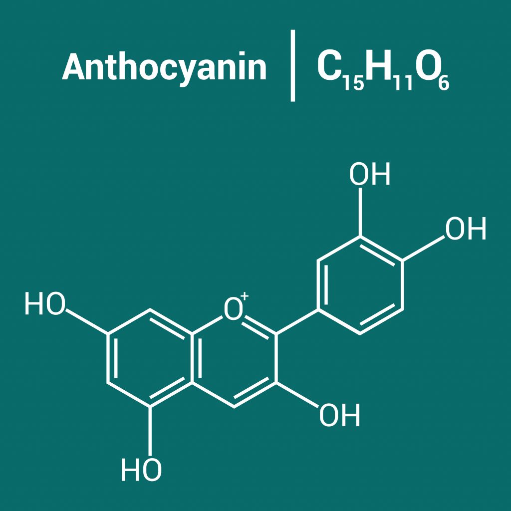 Chemical structure of Anthocyanins
