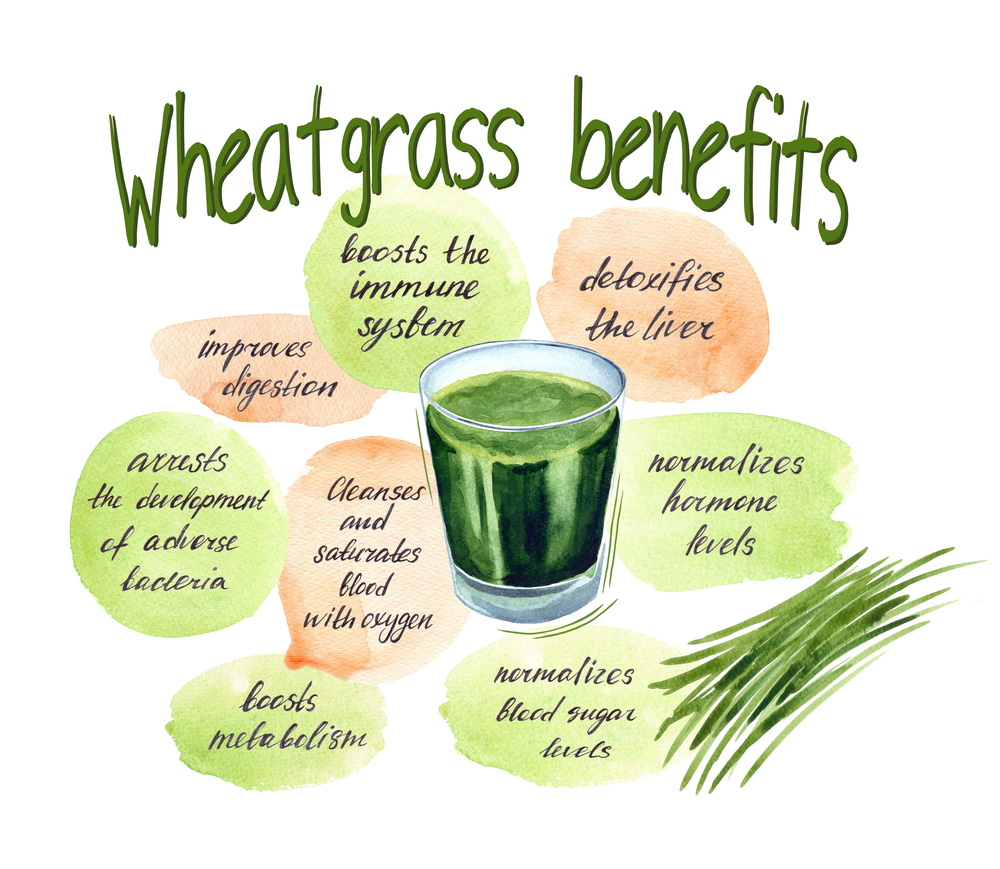 Benefits of wheatgrass